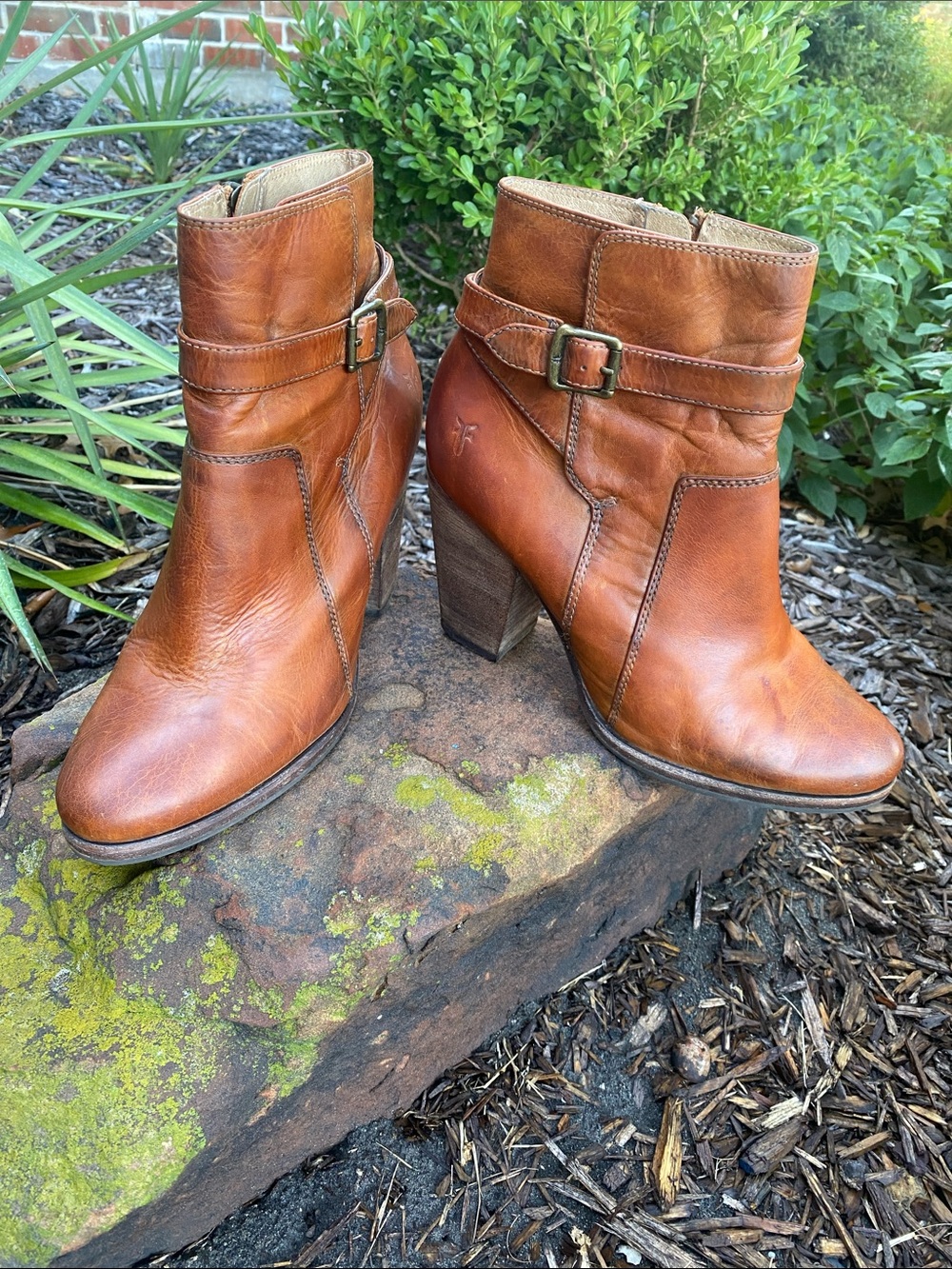 EUC Frye Patty Riding Bootie Brown Leather Women's Ankle Boot with Buckle